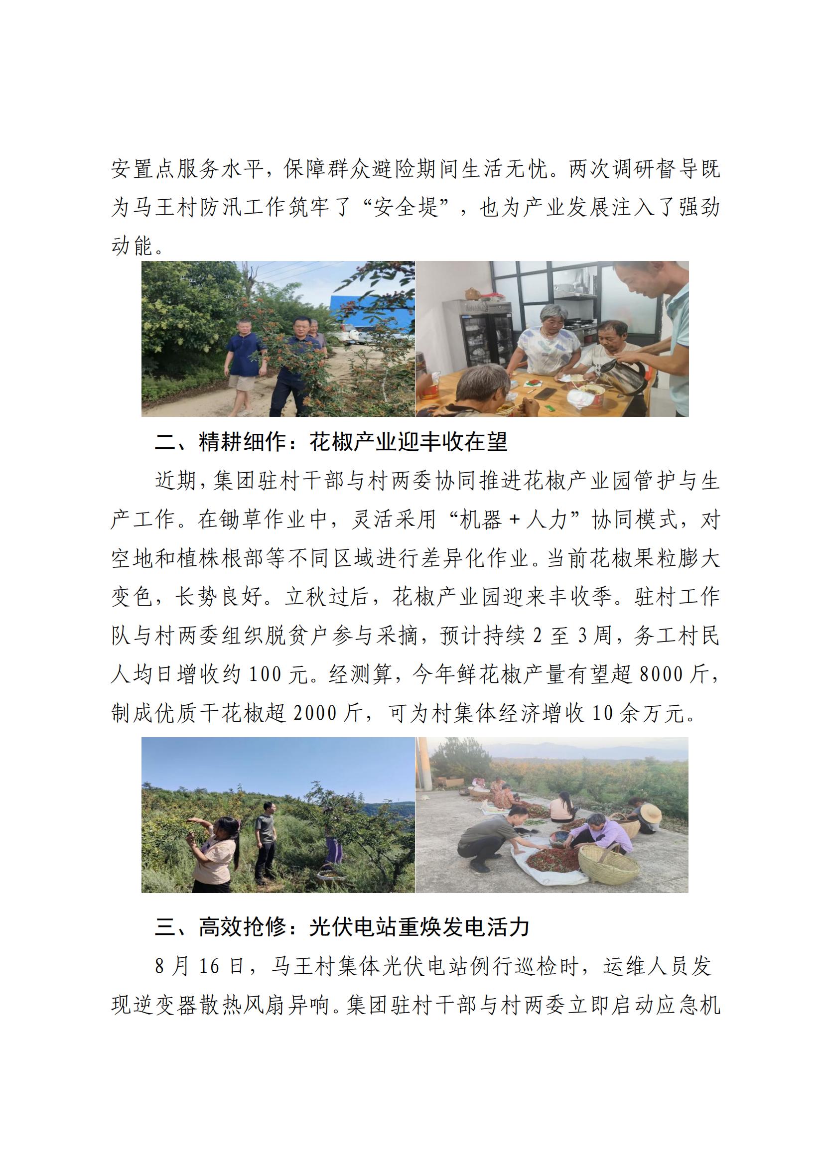 必博集团墟落振兴事情动态（2025.8）_02.jpg