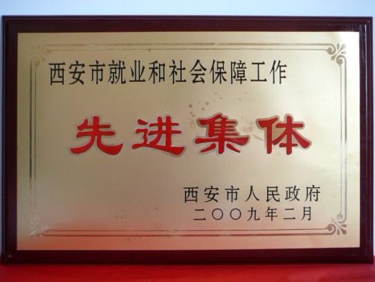2009年2月，，，，，被西安市政府评为西安市就业和社会包管事情先进整体