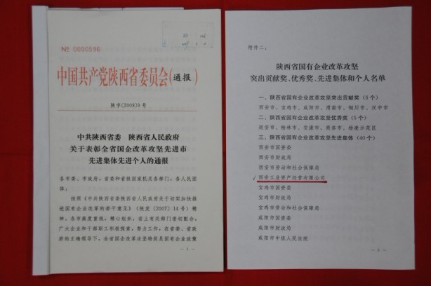2009年2月，，，，，被陕西省委、省政府授予陕西省国有企业刷新攻坚先进整体
